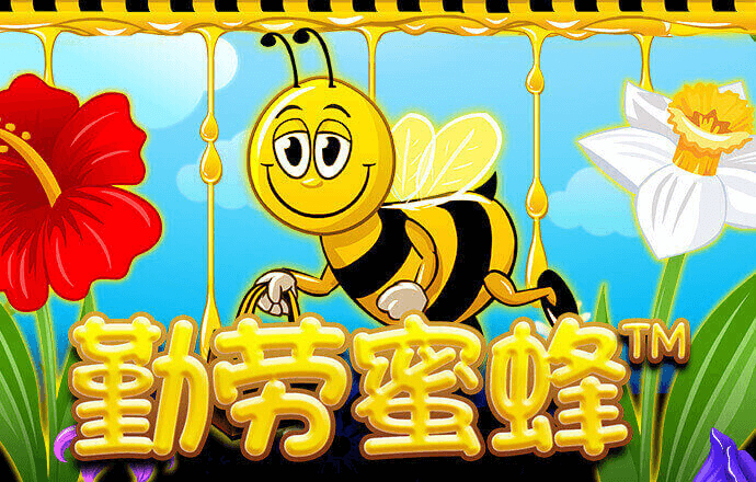 威斯尼斯wns2299cn官网版下载